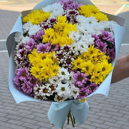 Букет из разноцветных хризантем - купить с доставкой в по Александровскую